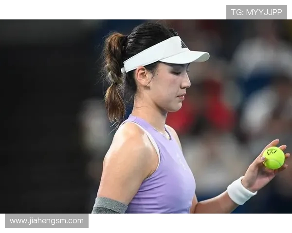 武汉网球队的节奏解析与深度剖析网球运动的魅力与挑战