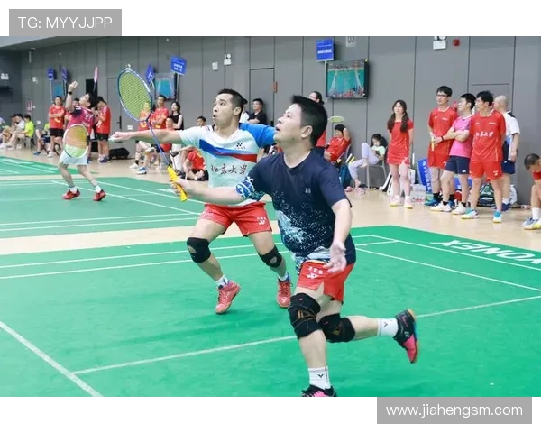 深圳羽毛球队的转换打法深度分析与战术创新探讨