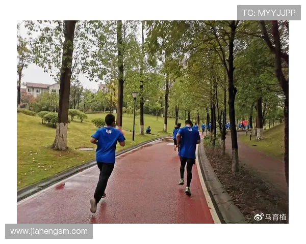 重庆羽毛球队团队协作的成功之道与经验分享探讨